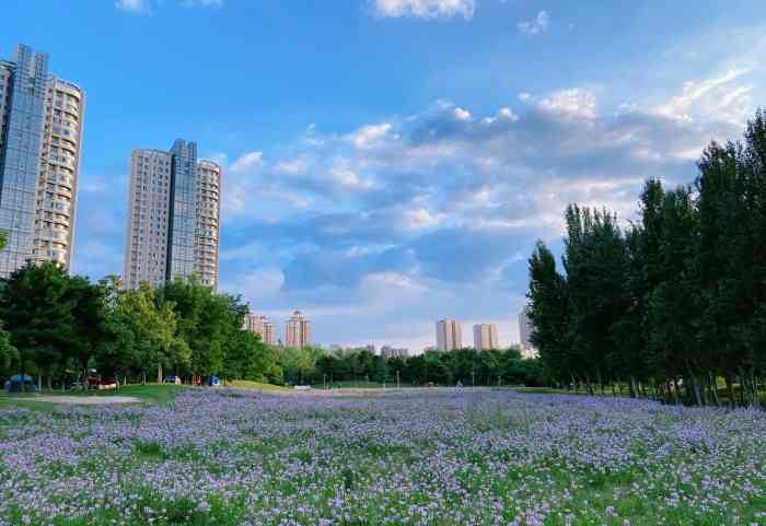 浑南市民公园-"浑南市民公园,这个公园的位置在沈阳的浑南.