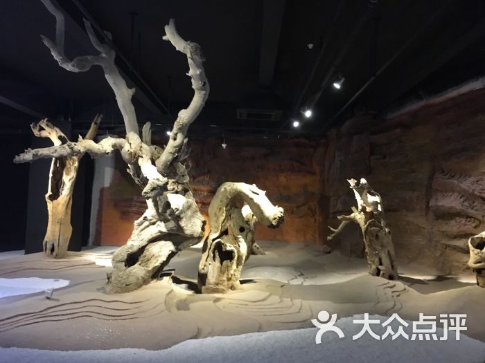 上海木文化博物馆-图片-上海景点