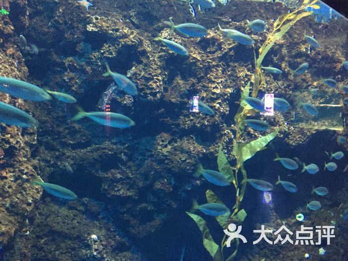 南昌万达海洋乐园图片 - 第5张