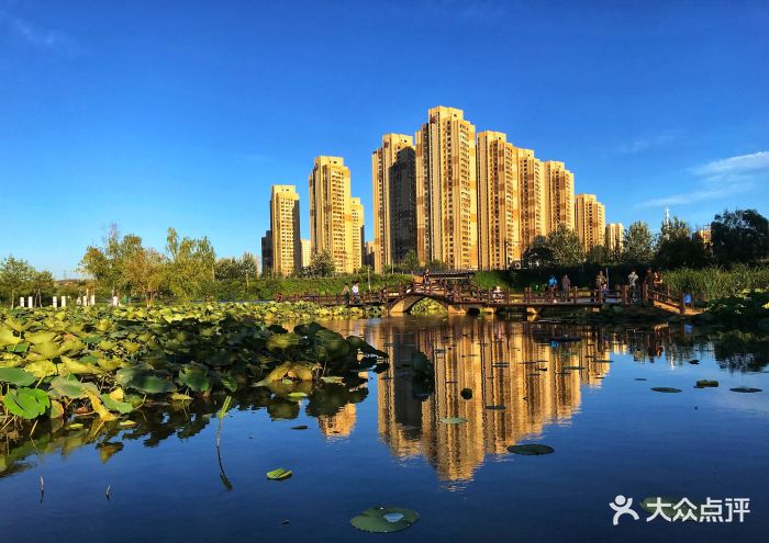前关湿地公园图片 第4张