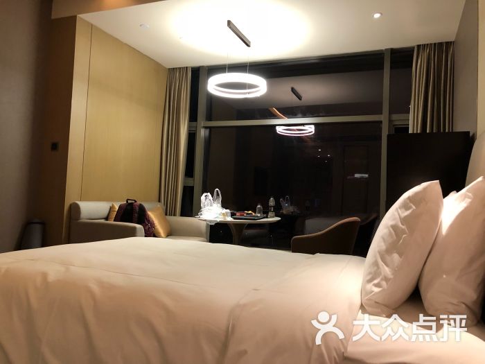 襄阳绿地铂骊酒店-图片-襄阳酒店-大众点评网
