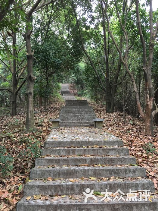 大顶岭公园图片 - 第5张