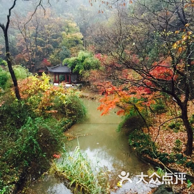 栖霞山名胜风景区图片 - 第5903张