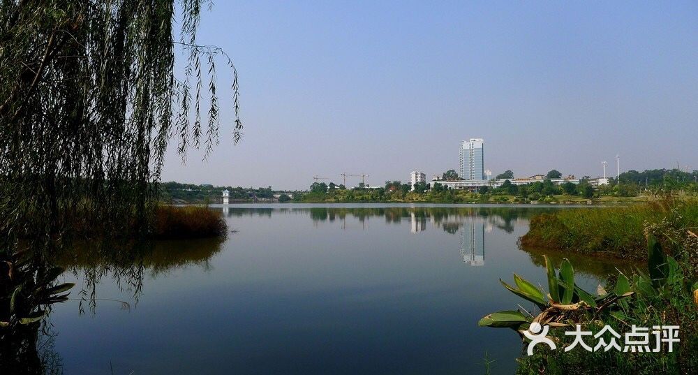 相思湖公园-图片-南宁周边游-大众点评网