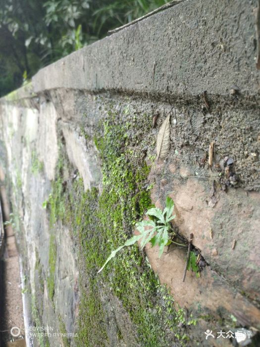 菲颂蛋糕(开发区越秀店)