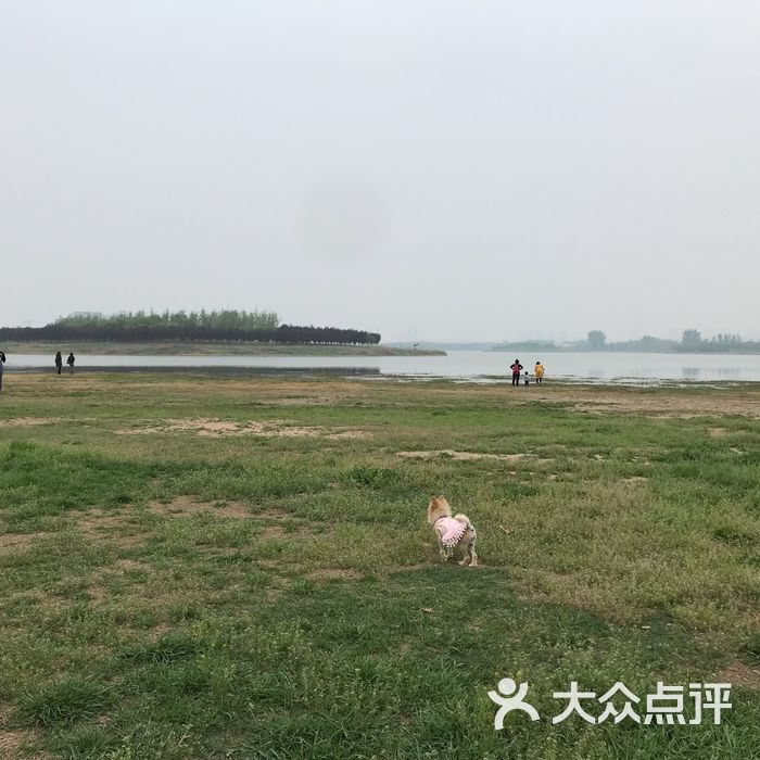 北龙湖湿地公园