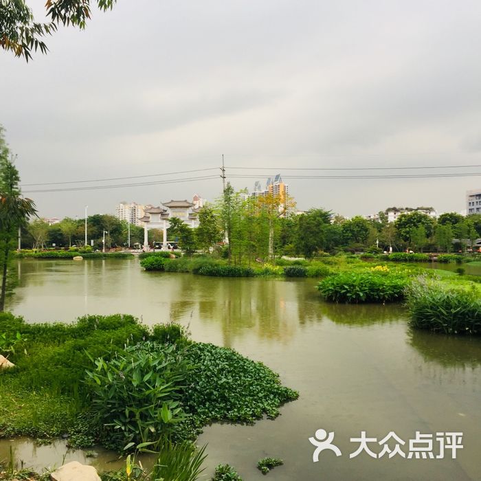 陈田花园