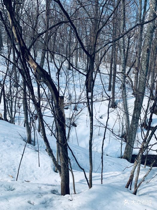 一只萌萌哒小浣熊君,完美的卡在了缝隙里….