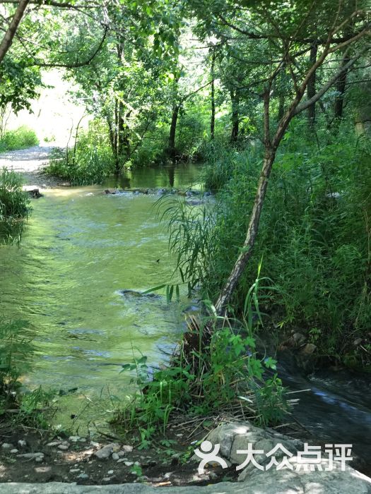 延庆水泉沟西水峪景区-图片-北京周边游-大众点评网