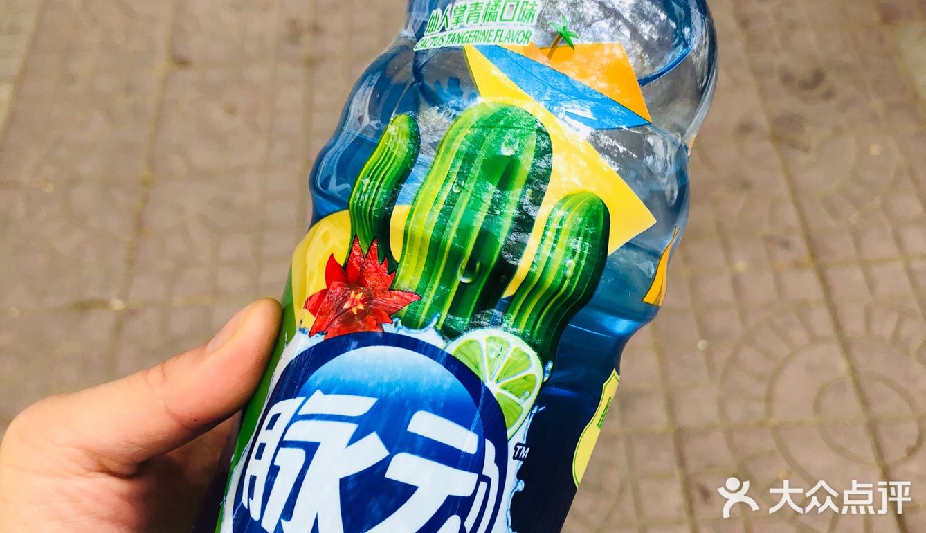 脉动新品仙人掌