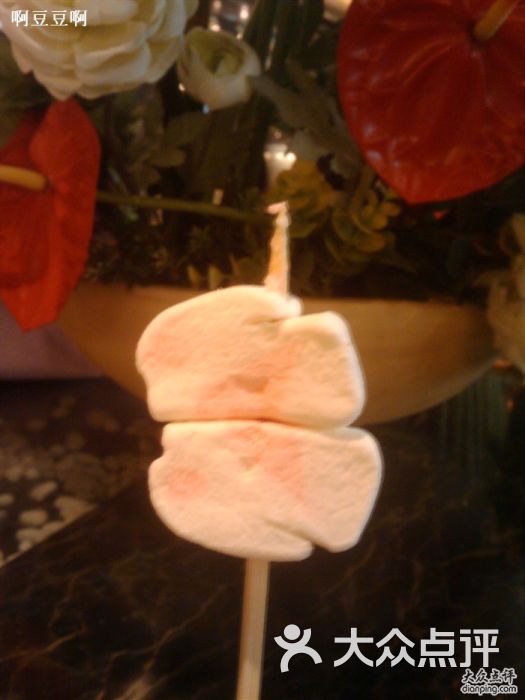 南京金钱豹_南京金钱豹人均(2)