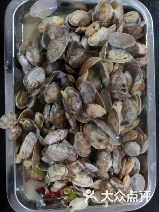 胶东菜小海鲜_胶东海鲜汆蛋_胶东海鲜安定门