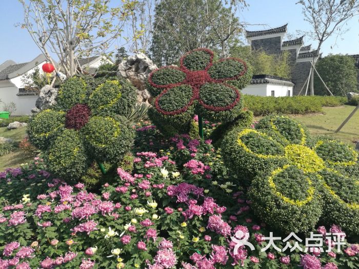 宁波植物园图片 - 第28张