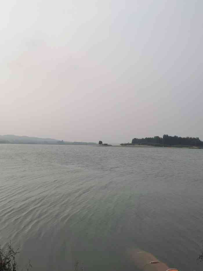 口头水库-"水库捞来的小鱼,很喜欢,第一次见到这样漂.