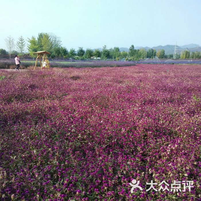 紫云水岸香草园