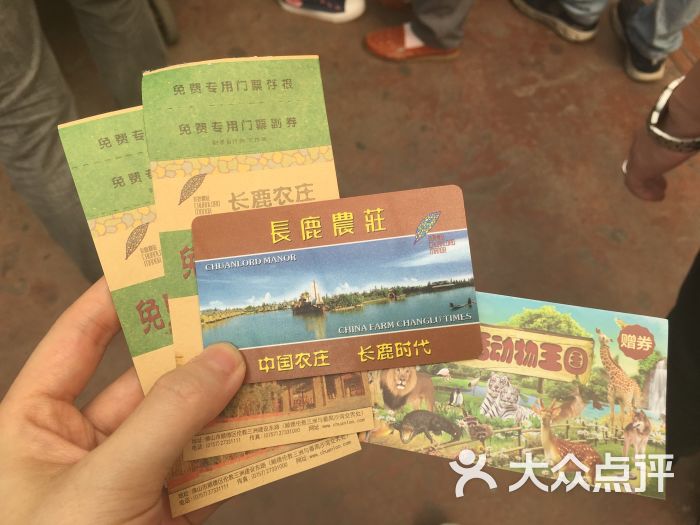 长鹿旅游休博园图片 - 第2张