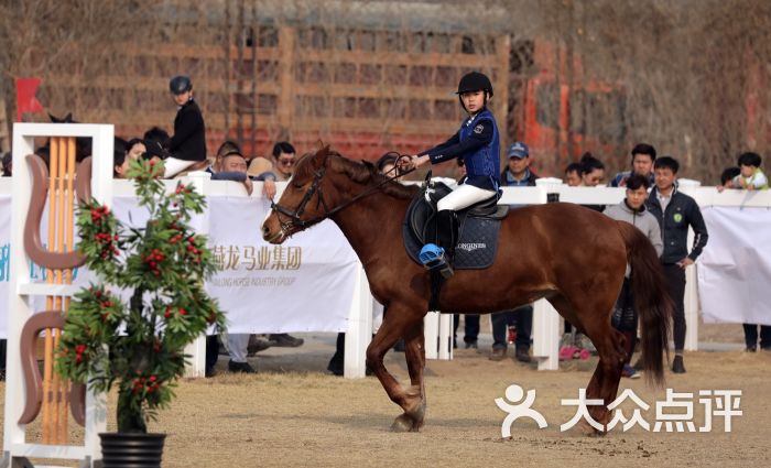 中联骑士联盟马术俱乐部-马场图片-北京运动健身-大众