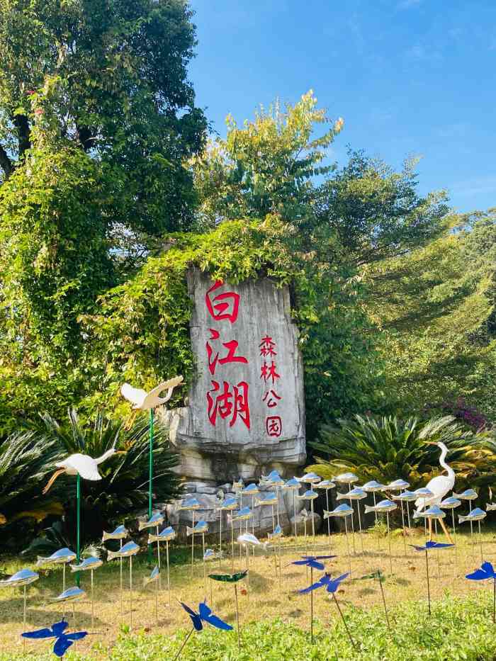 白江湖森林公园"你要我点评啥?我传图只想告诉众网友,还在.