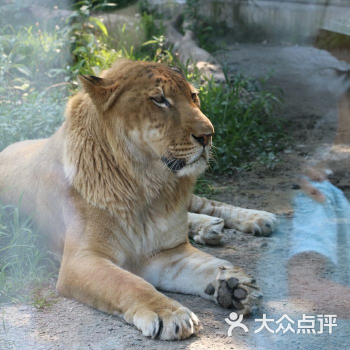 上海野生动物园