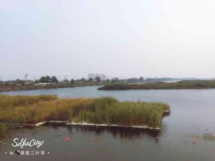 胜芳湿地码头水上乐园