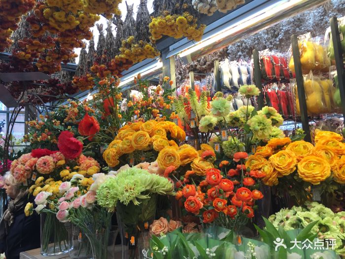 辛格鲜花市场图片 - 第4张