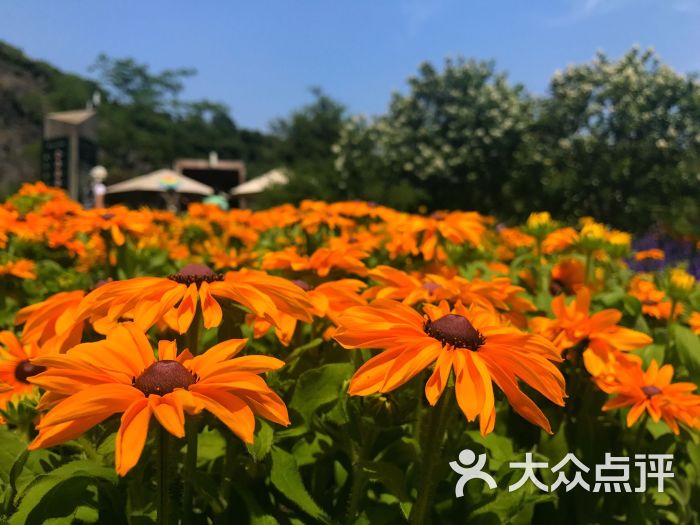 上海辰山植物园图片 - 第4张