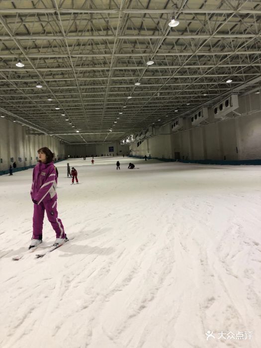 天鹅堡室内滑雪场-图片-文成县周边游-大众点评网