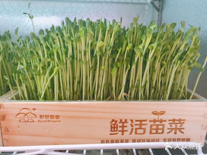 蜀大侠火锅(城市新汇广场店)活体豌豆苗图片 第1张