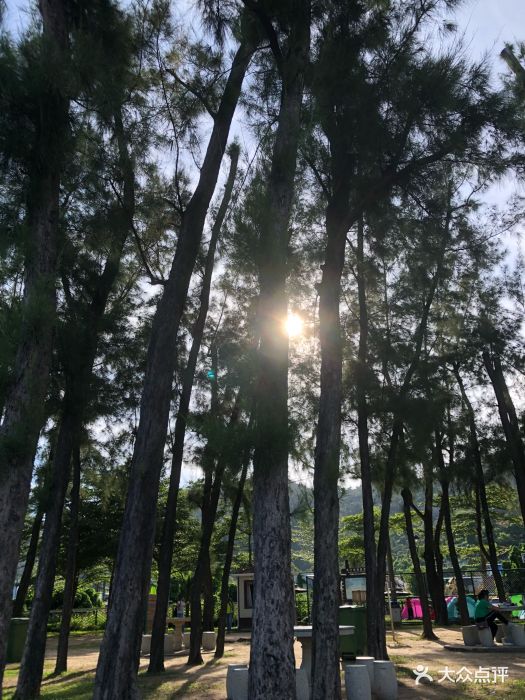 从威尼斯人打车去黑沙滩,车费60元澳门元,.-黑