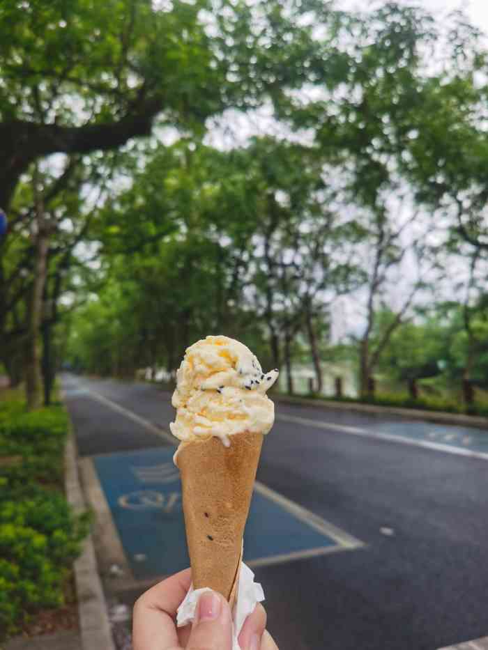 九山湖冰淇淋【行走的美食地图】走到哪里,吃到哪里.