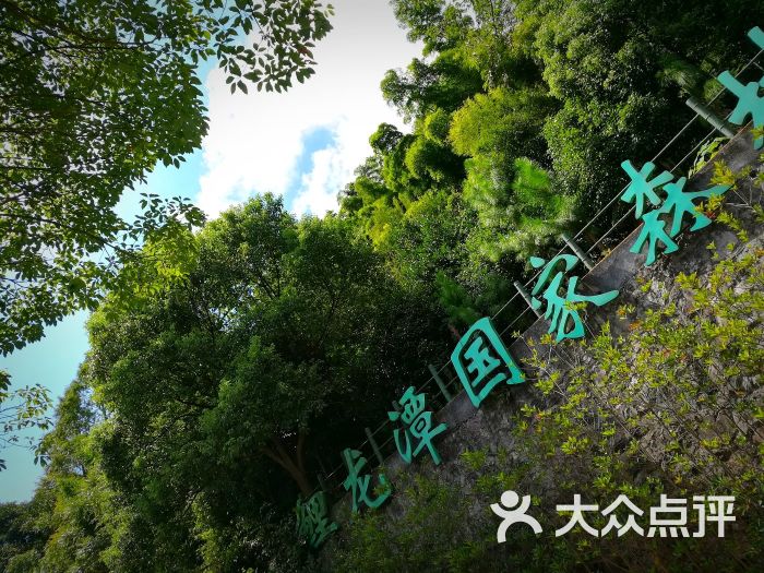 鲤龙潭森林公园-图片-象山周边游-大众点评网