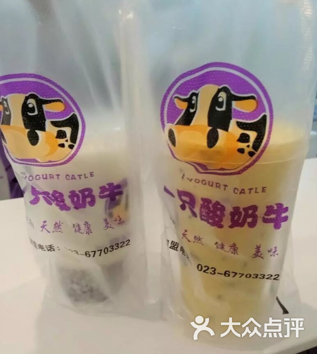 一只酸奶牛(i北城天街店)原味酸奶紫米露图片 - 第45张