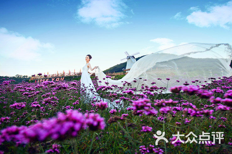大连新风社婚纱摄影_讲文明树新风手抄报(3)