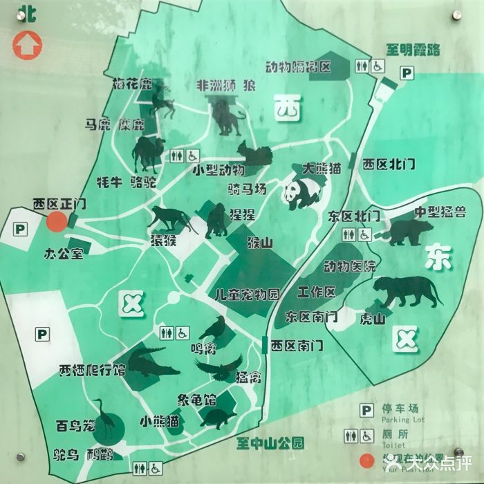 青岛动物园图片