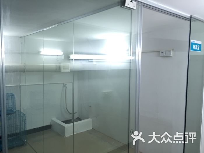 惠州博罗宠惠康宠物医院-图片-博罗县宠物