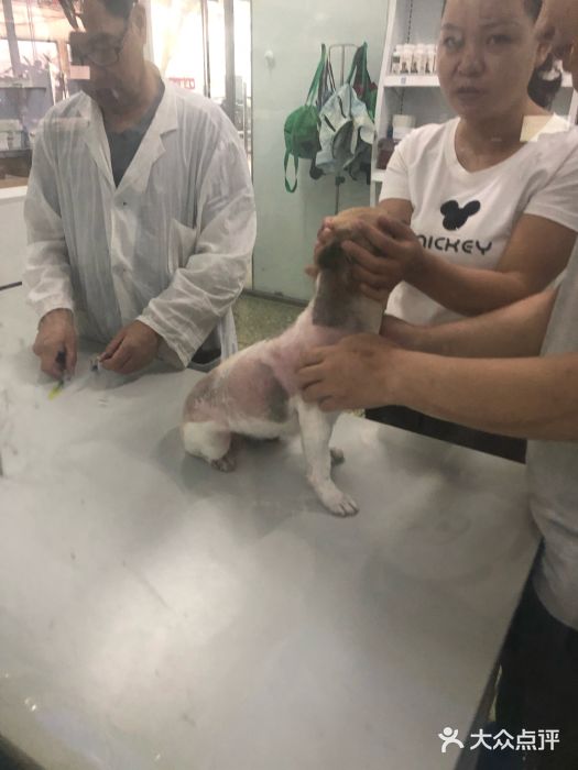西南民族大学动物医院图片