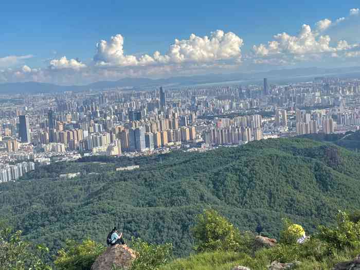 长虫山生态公园风景林-"长虫山,许多人也许不太熟悉,但谈到孙髯翁.