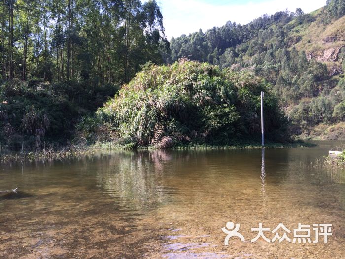 龙眼洞森林公园图片 - 第59张