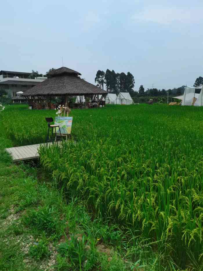 小草垛田野农场-"菜品好吃,环境太美了,出片率极高,最近温.