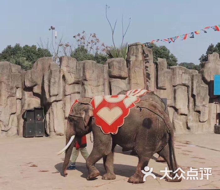 长沙生态动物园图片 - 第3张