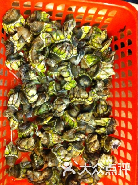 老同学海鲜排档-佛手-菜-佛手图片-舟山美食-大众点评网