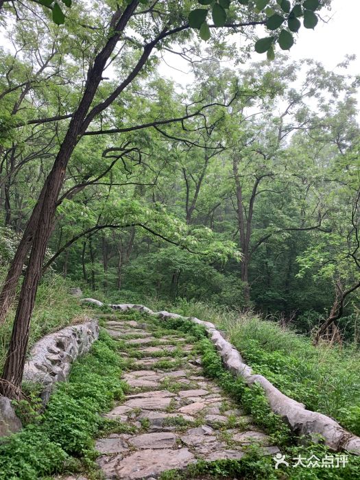 阳台山自然风景区-图片-北京周边游-大众点评网