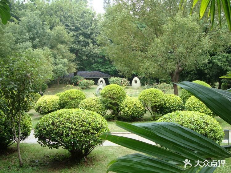 文心公园-图片-深圳周边游-大众点评网