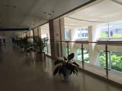 泰达医院(图)-天津-第页