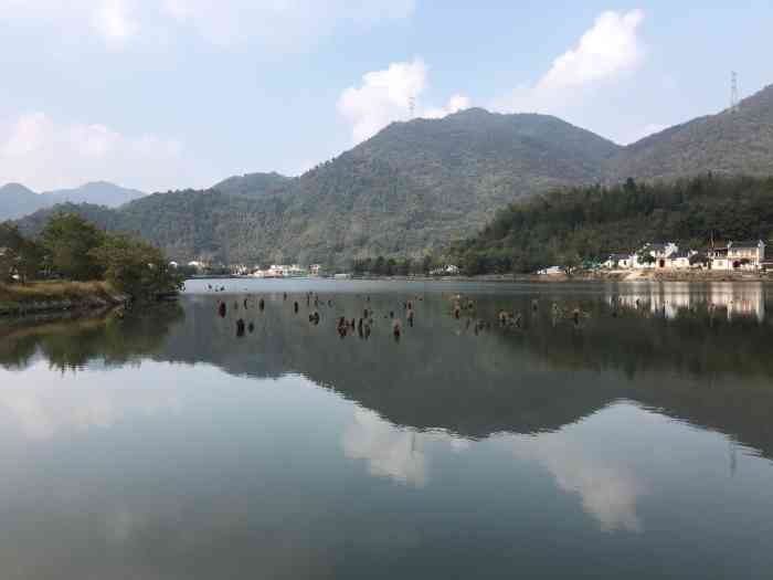 青龙湖景区-"皖南川藏线,到处都是美景,周末和朋友一.
