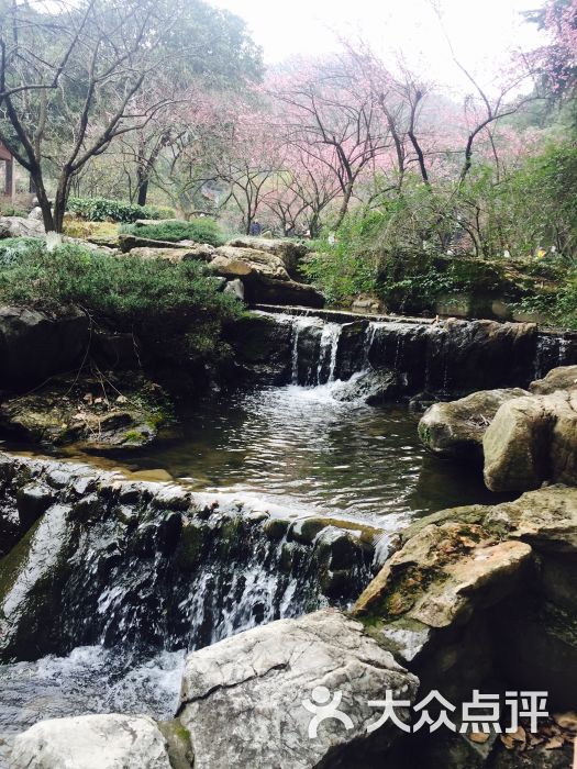 超山风景名胜区图片 第2张