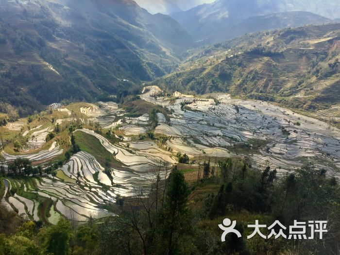 "元阳·哈尼梯田"的全部点评 - 元阳县景点/周边游 - 大众点评网
