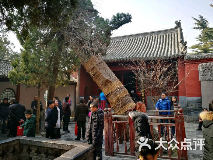 白马寺-清凉台图片-洛阳周边游-大众点评网