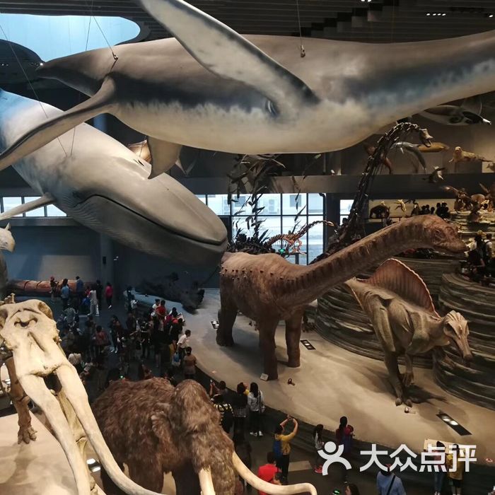 上海自然博物馆