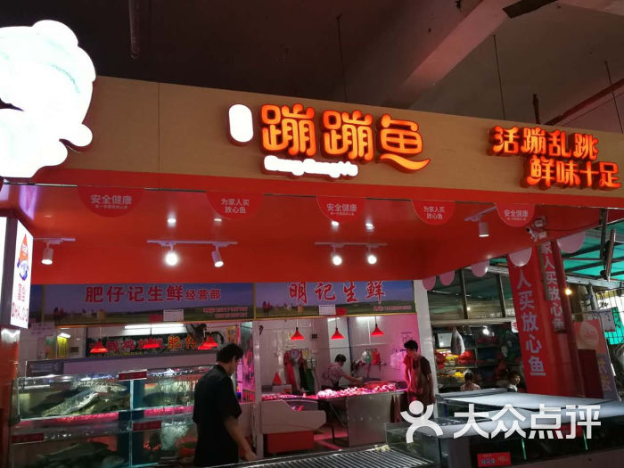 何氏蹦蹦鱼图片 - 第3张
